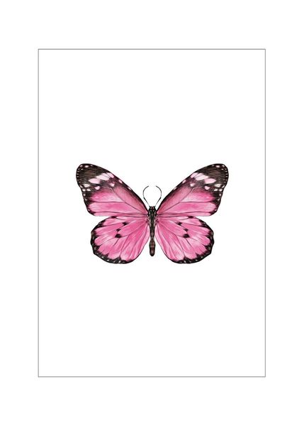 Kaufen Butterfly Poster Online Dearsam De