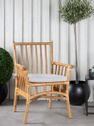 Cane Dining Chair