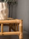 CANE Table 120x70
