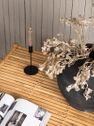 CANE Table