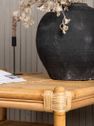 CANE Table