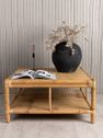 CANE Table