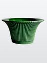 Daisy Green Emerald 25 cm