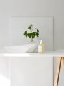 Fir Liquid Soap
