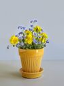 Simona Yellow Amber 18 cm