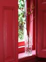 Vase trunk clear