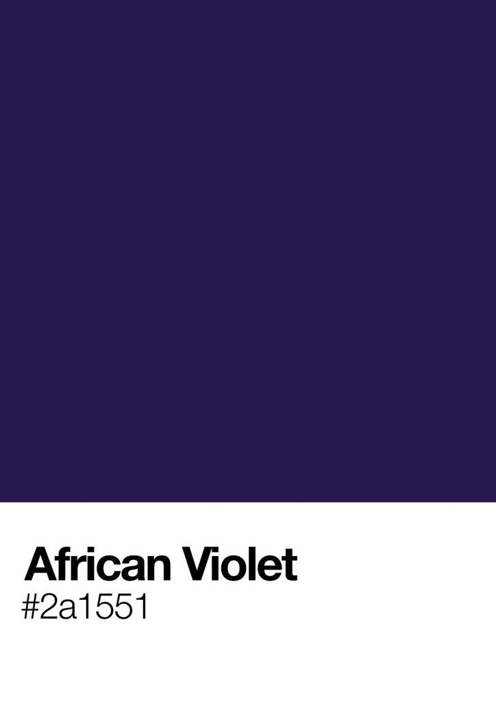 Poster - African Violet 21x30 - Dear Sam