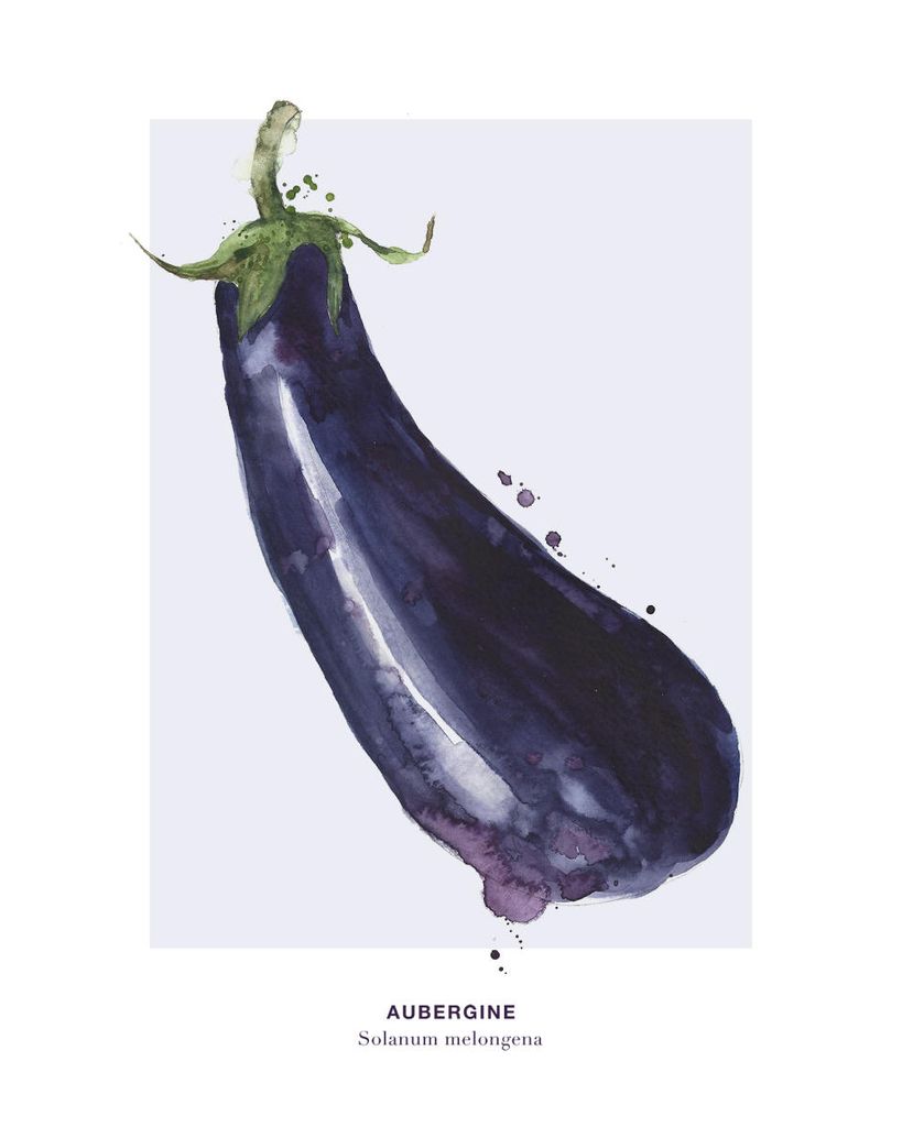 Plakat - Aubergine 40x50 - Dear Sam