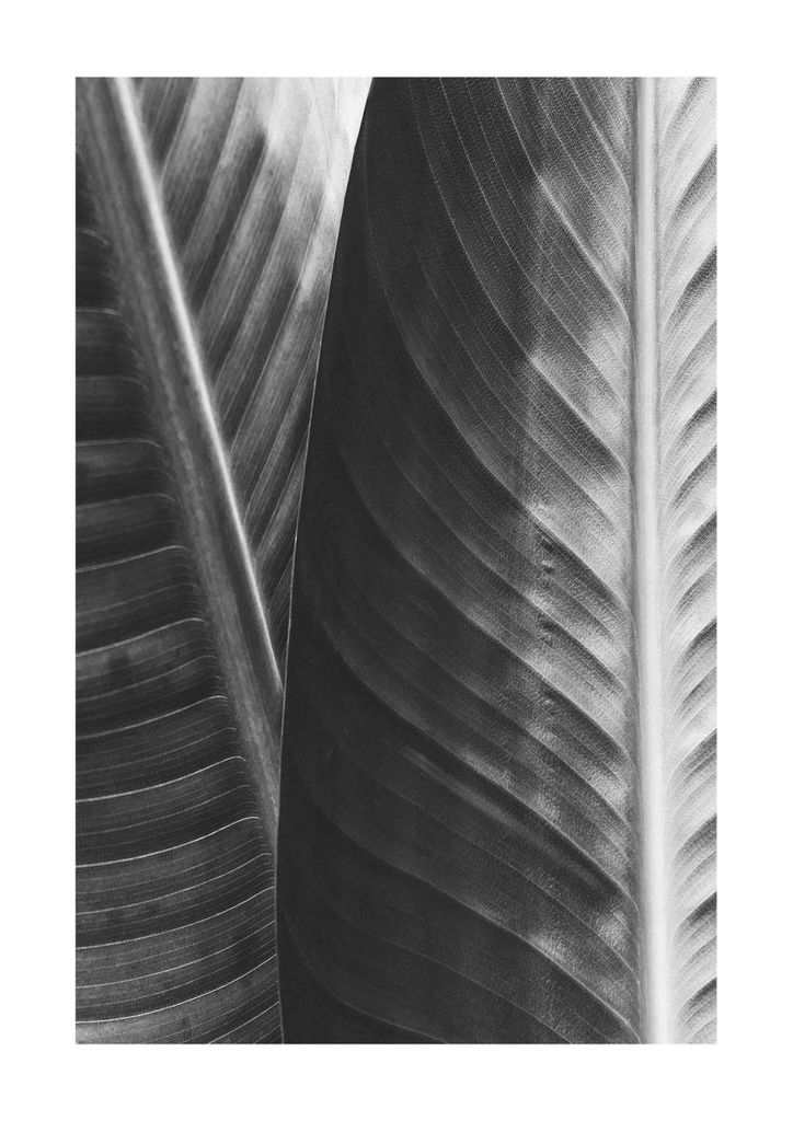 Plakat - Banana 21x30 - Dear Sam