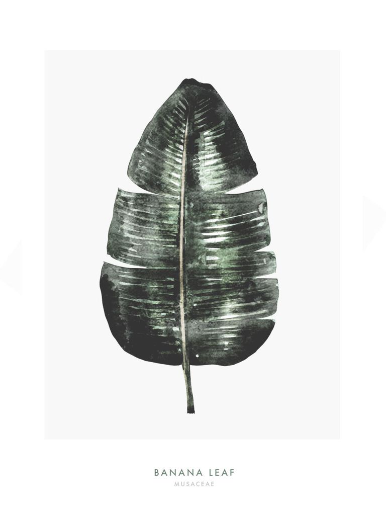 Poster - Banana Leaf Two 30x40 - Dear Sam