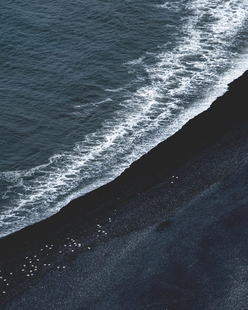 Poster - Black Sand Beach 40x50 - Dear Sam