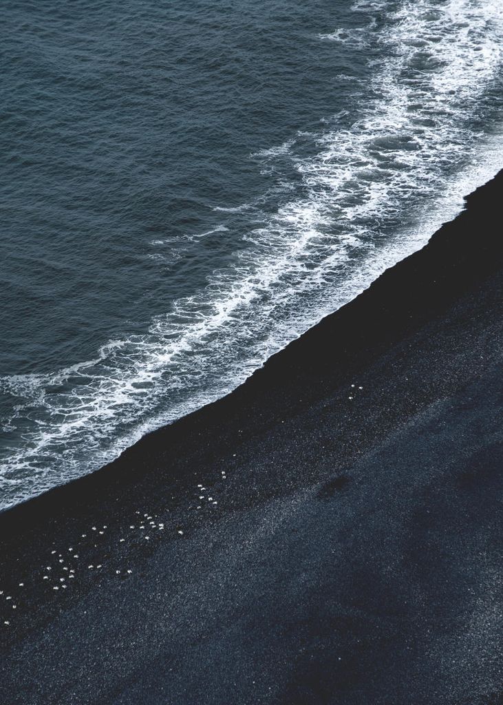 Poster - Black Sand Beach 50x70 - Dear Sam