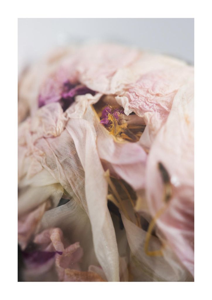 Poster - Bouquet 1 21x30 - Dear Sam