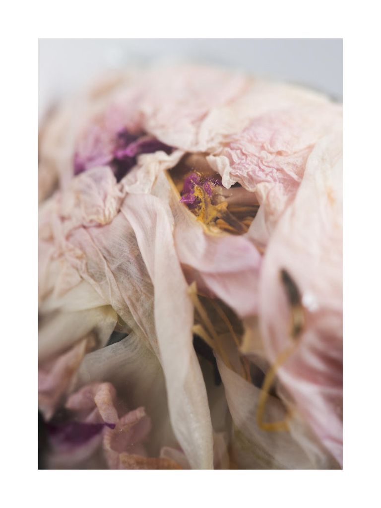 Poster - Bouquet 1 30x40 - Dear Sam
