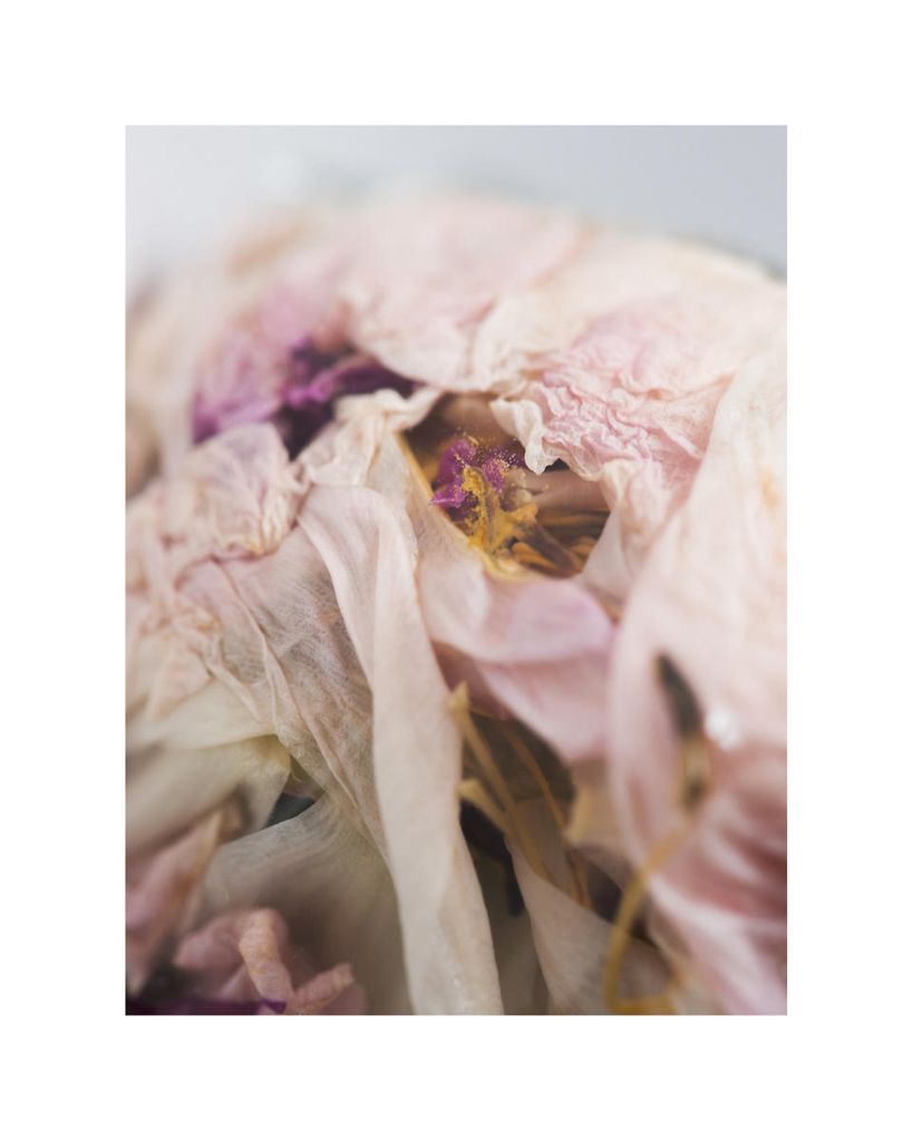 Poster - Bouquet 1 40x50 - Dear Sam