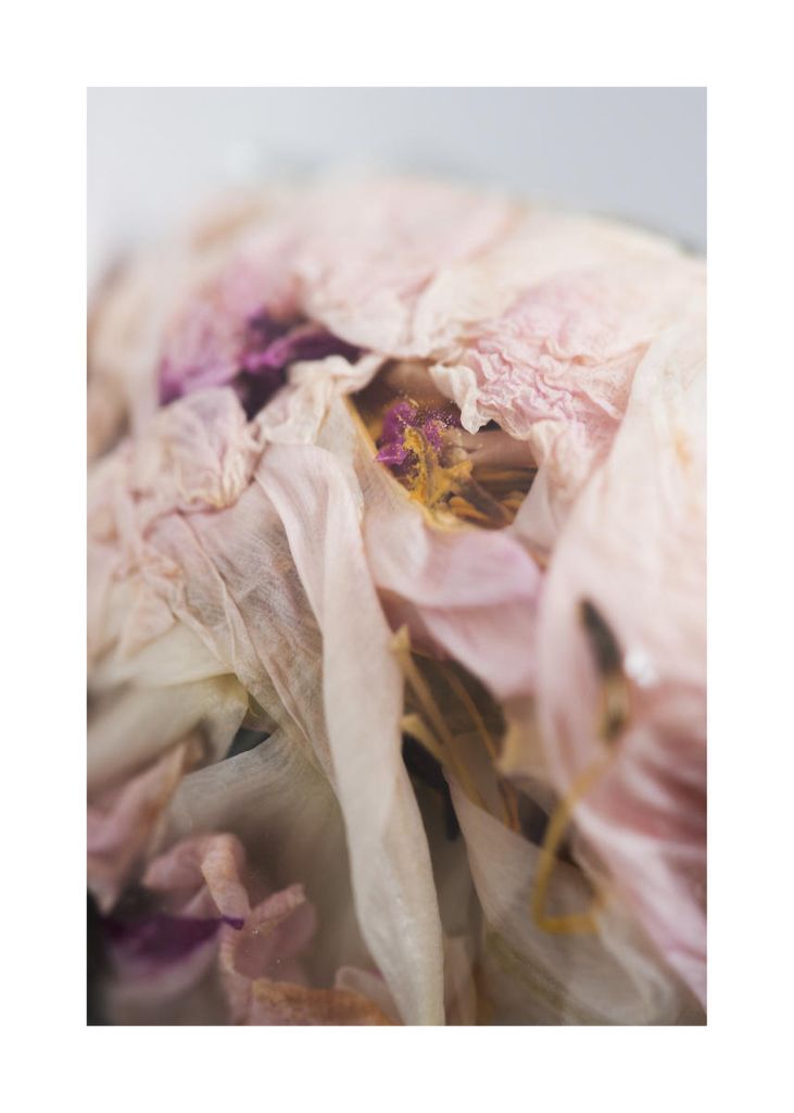 Poster - Bouquet 1 50x70 - Dear Sam