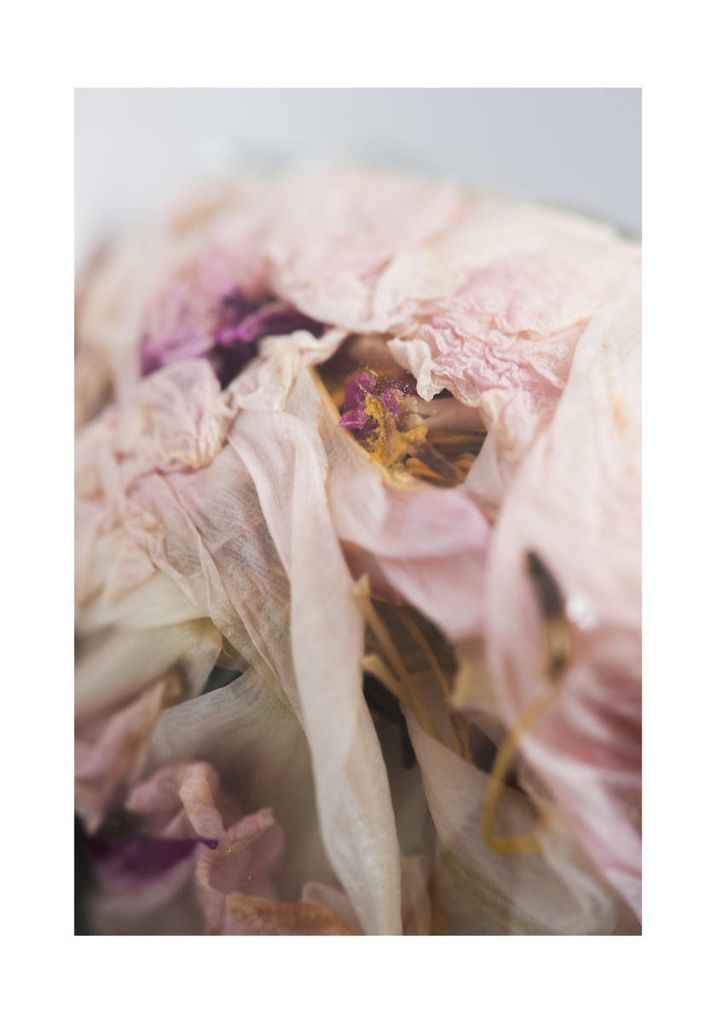 Poster - Bouquet 1 70x100 - Dear Sam