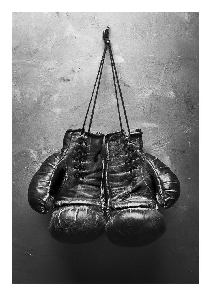 Poster - Boxing Gloves 50x70 - Dear Sam