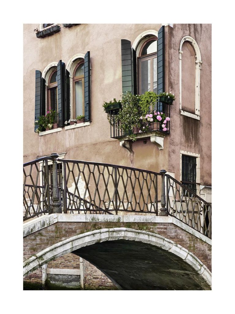 Poster - Bridge And Roses 30x40 - Dear Sam