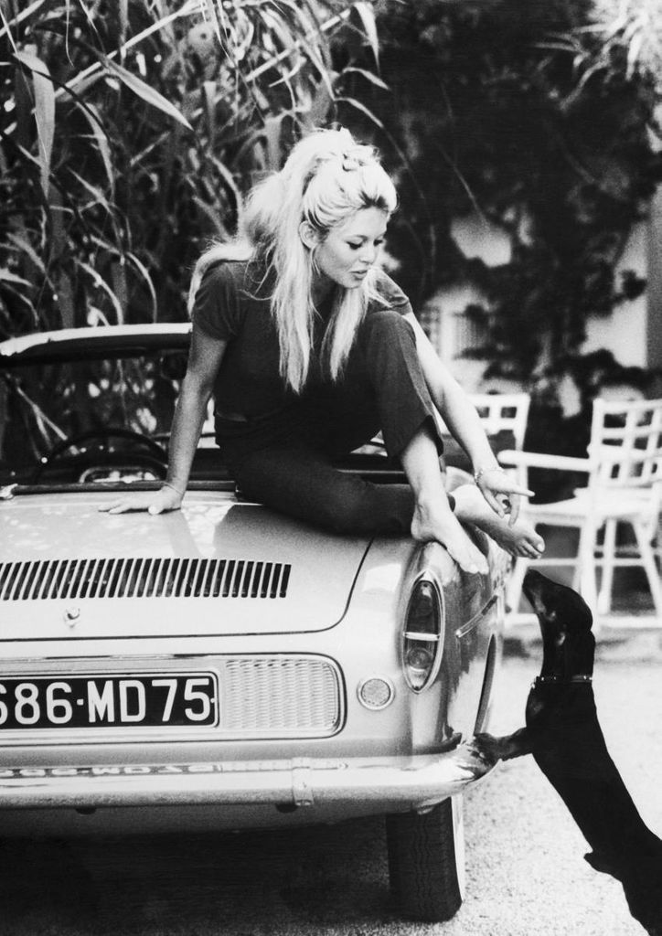 Plakat - Brigitte Bardot 21x30 - Dear Sam