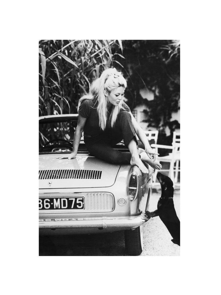 Plakat - Brigitte Bardot 30x40 - Dear Sam