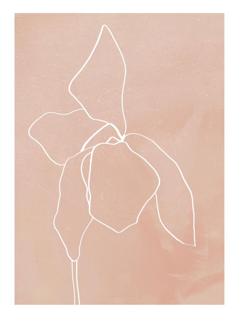 Poster - Bud Outline 1 30x40 - Dear Sam