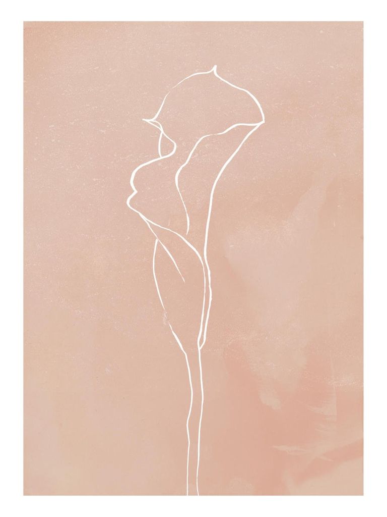 Poster - Bud Outline 2 30x40 - Dear Sam