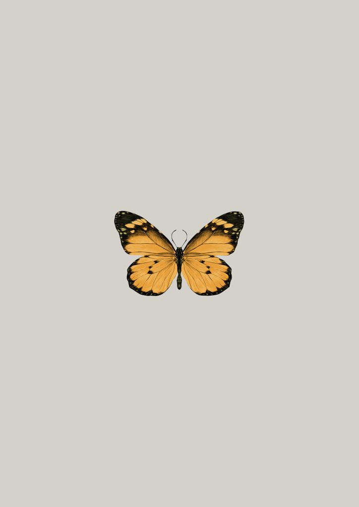Poster - Butterfly Orange 21x30 - Dear Sam