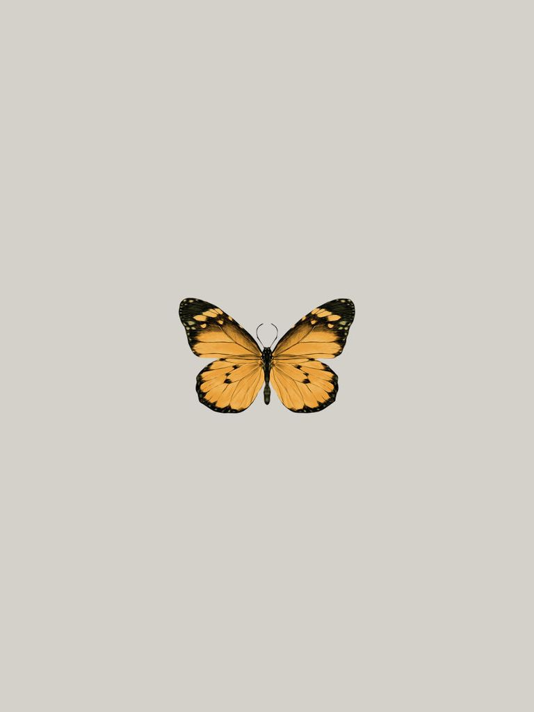 Poster - Butterfly Orange 30x40 - Dear Sam