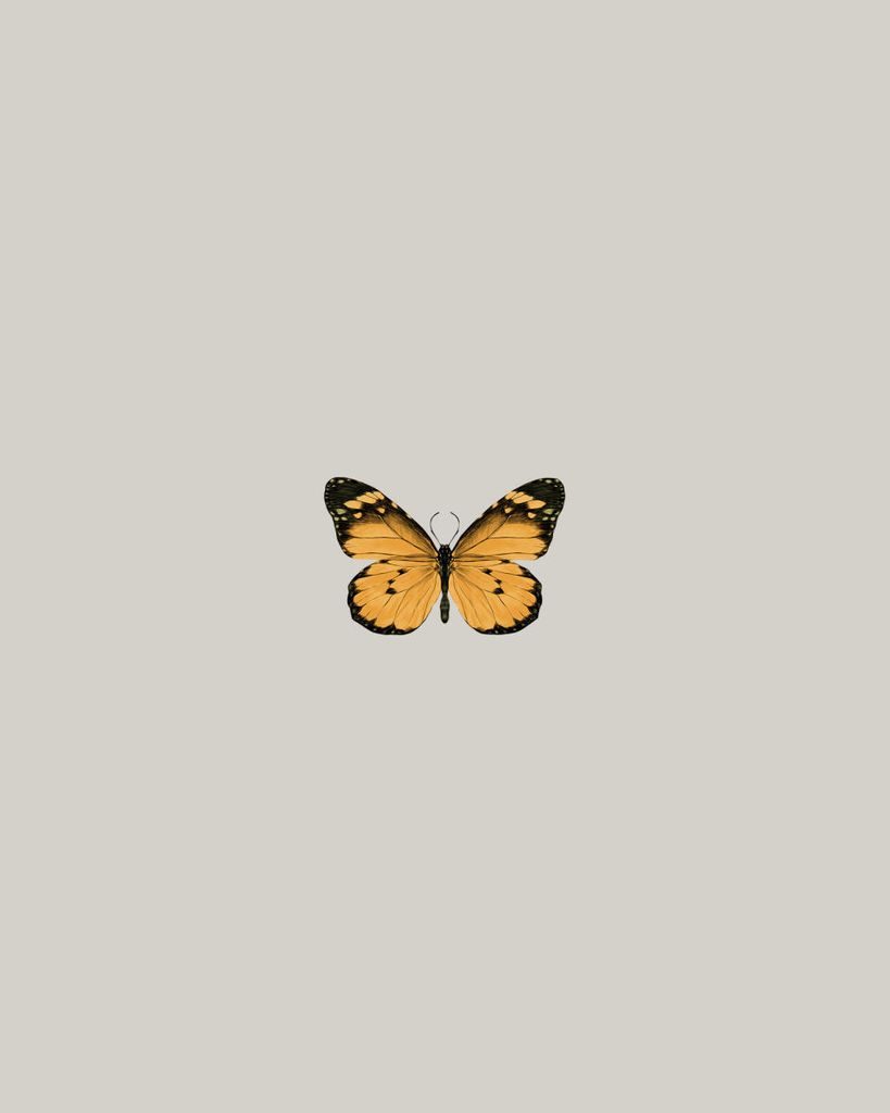 Poster - Butterfly Orange 40x50 - Dear Sam