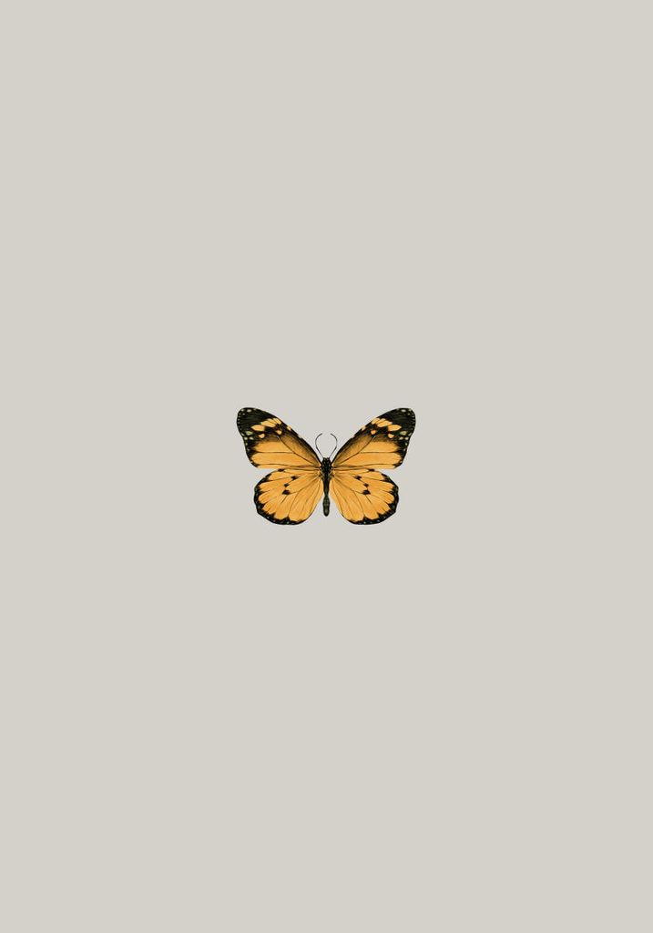Poster - Butterfly Orange 70x100 - Dear Sam