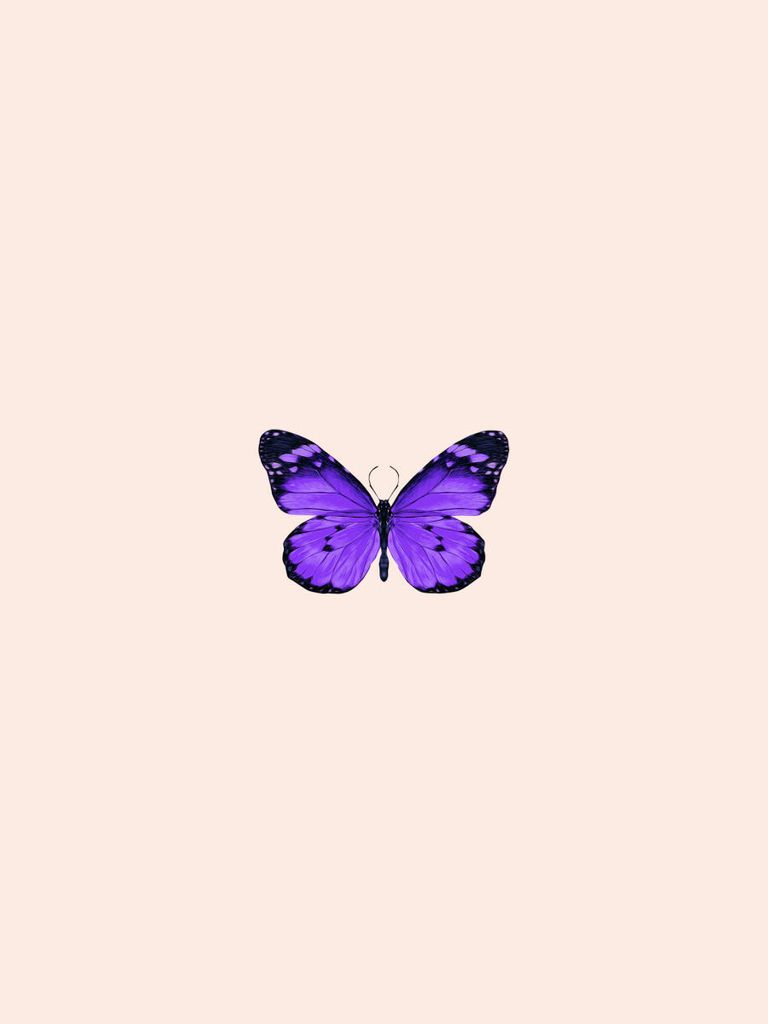 Poster - Butterfly Purple 30x40 - Dear Sam