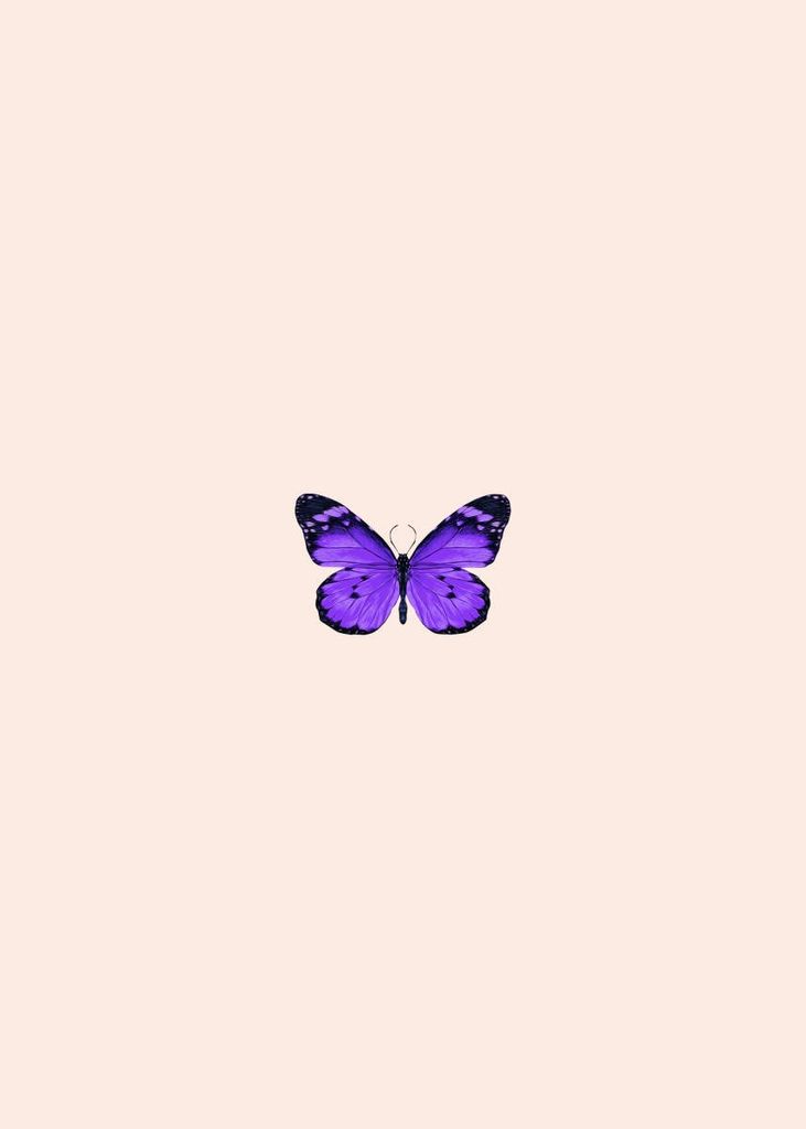 Poster - Butterfly Purple 50x70 - Dear Sam