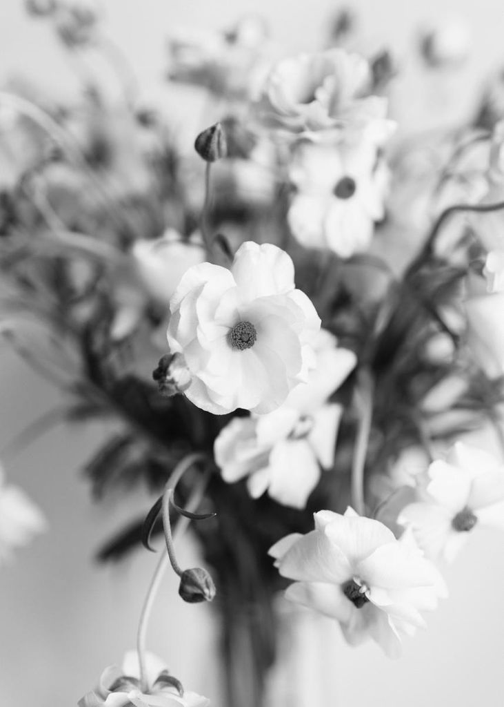 Poster - BW Bouquet 50x70 - Dear Sam
