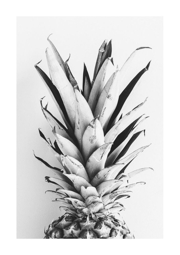 Poster - BW Pineapple 21x30 - Dear Sam