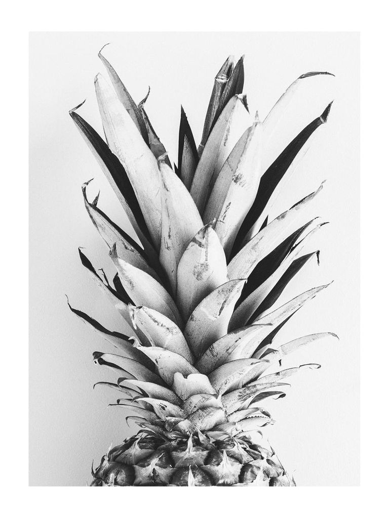 Poster - BW Pineapple 30x40 - Dear Sam