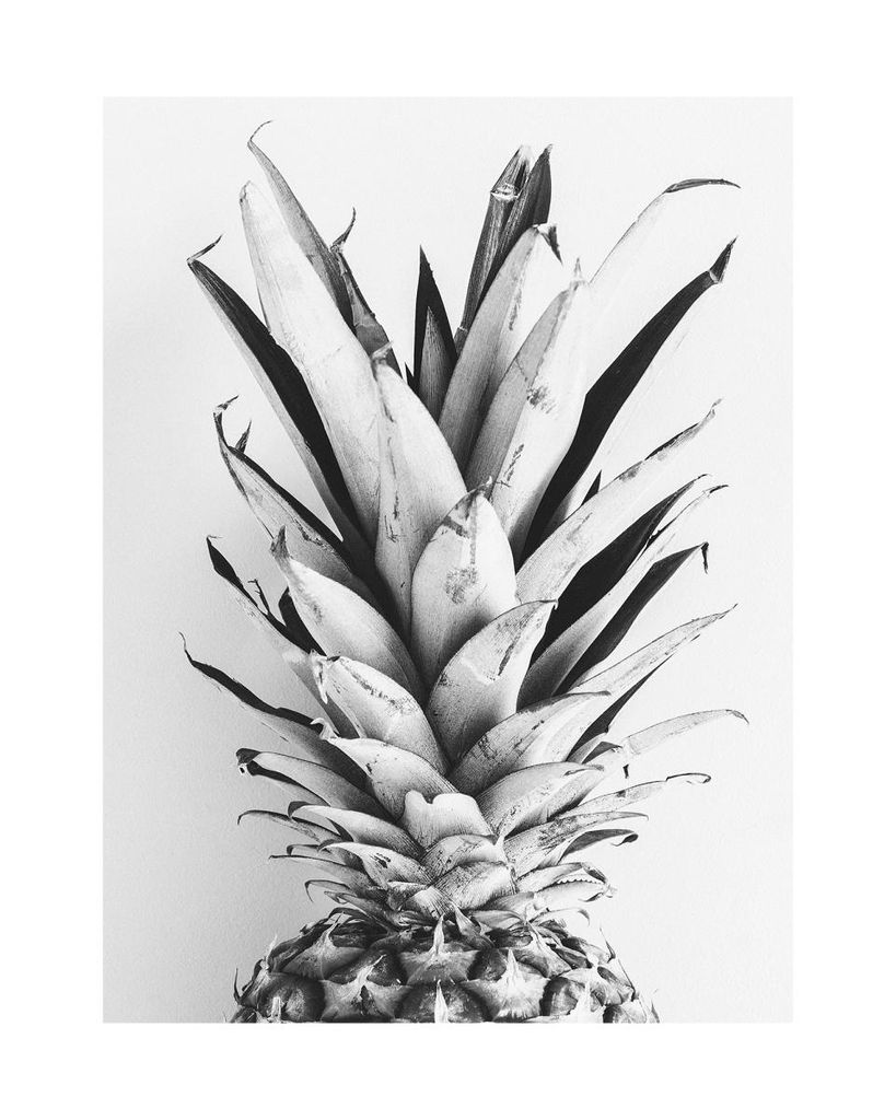Poster - BW Pineapple 40x50 - Dear Sam