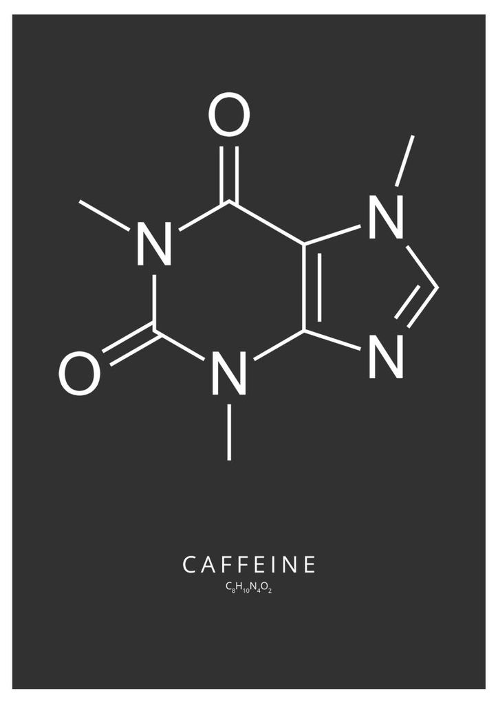 Poster - Caffeine 21x30 - Dear Sam
