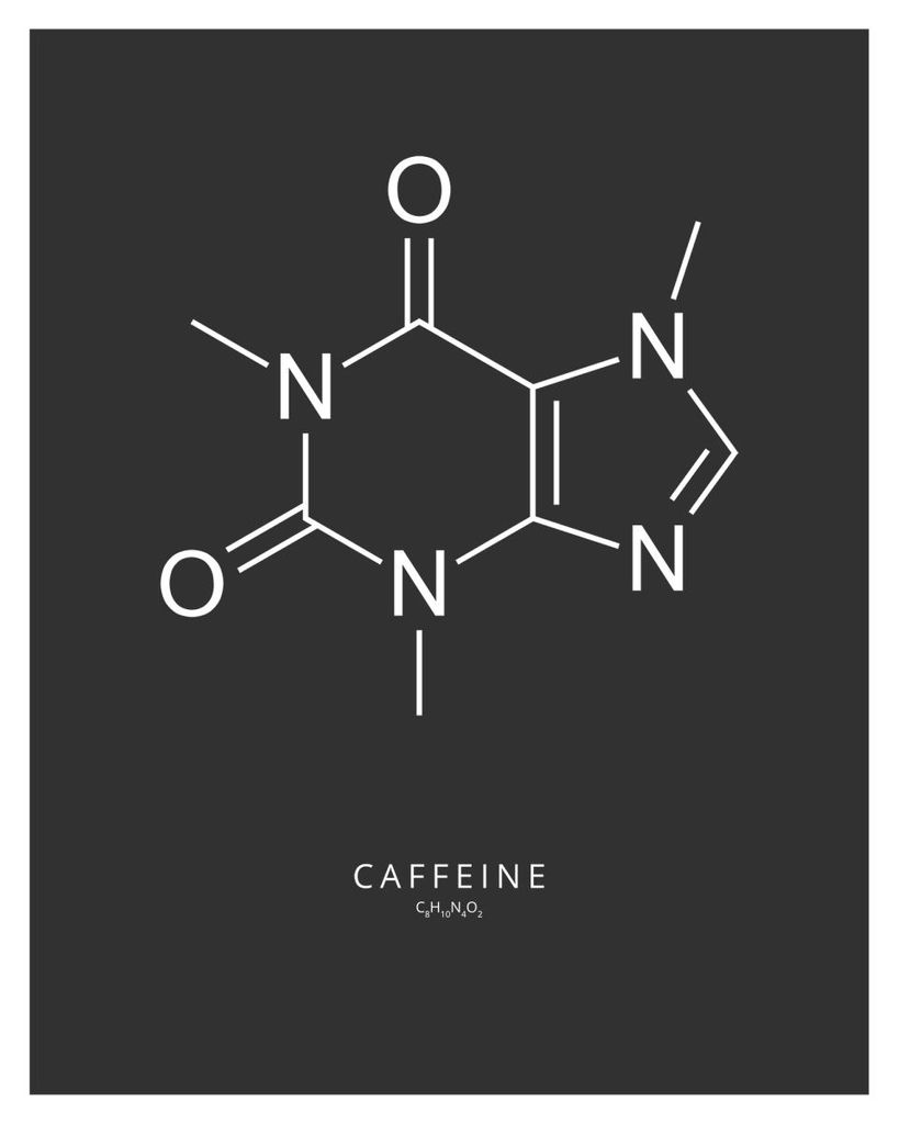 Poster - Caffeine 40x50 - Dear Sam