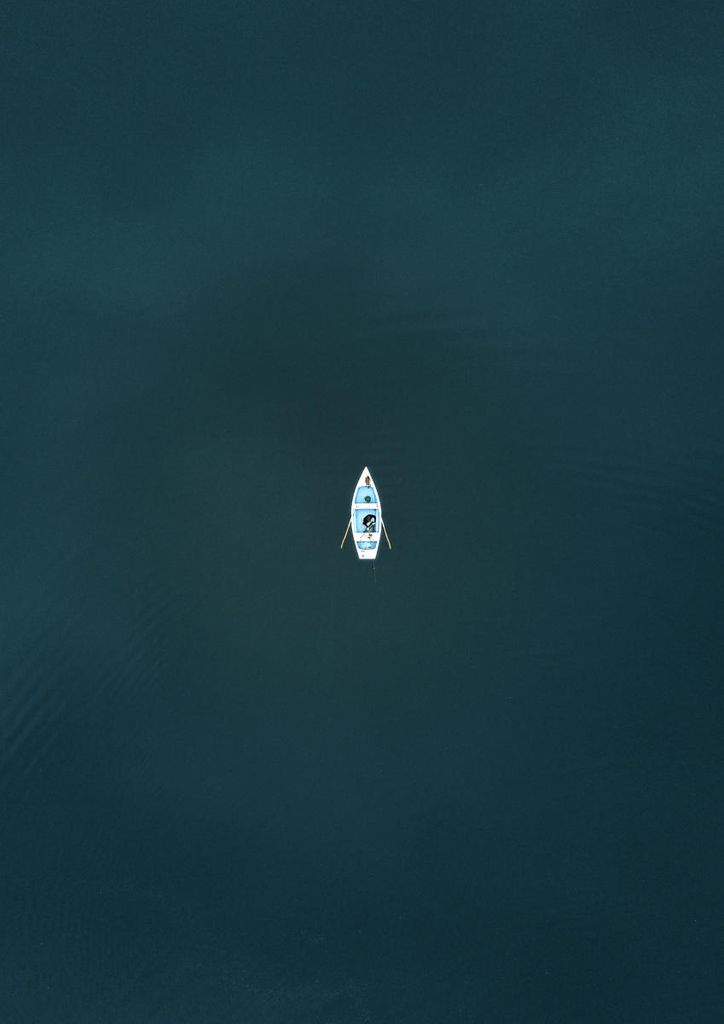 Poster - Canoe Freedom 21x30 - Dear Sam