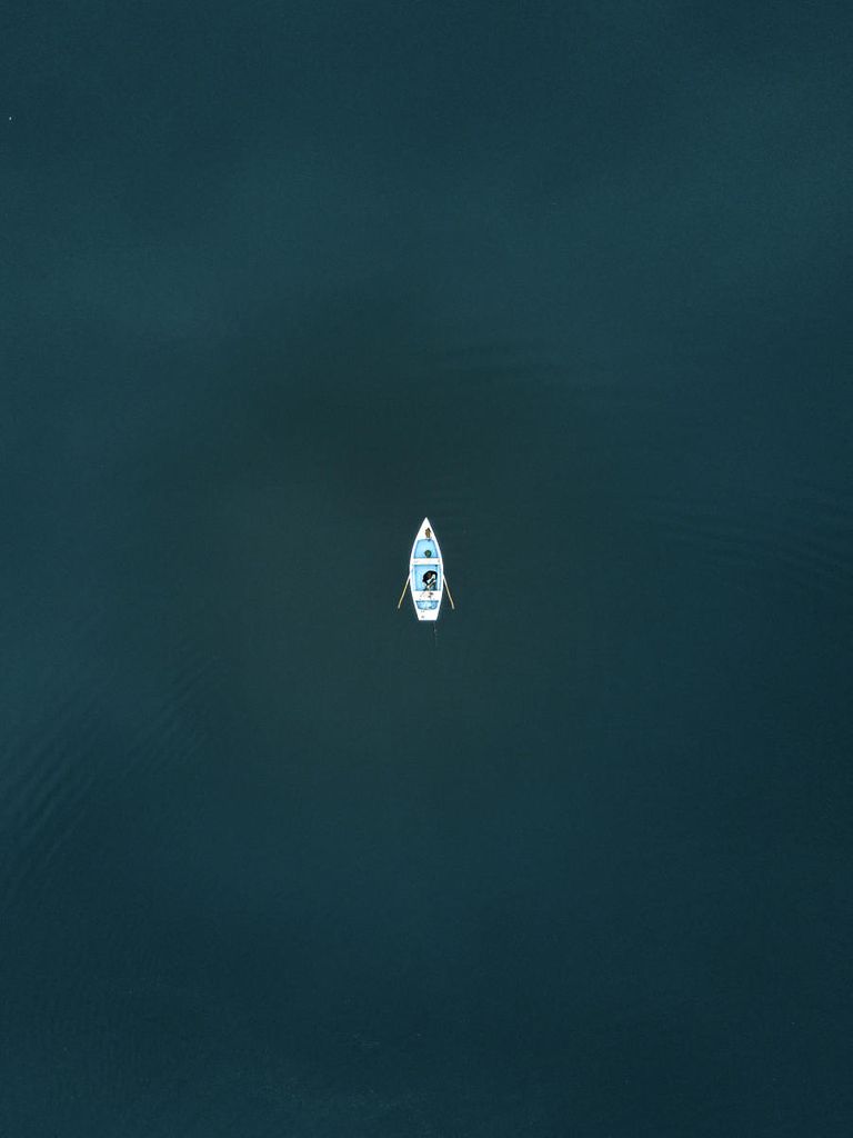 Poster - Canoe Freedom 30x40 - Dear Sam
