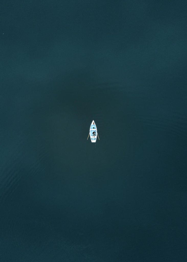 Poster - Canoe Freedom 50x70 - Dear Sam