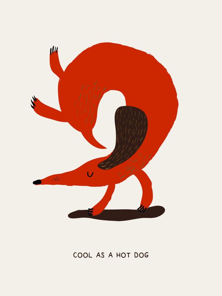 Poster - Cool As A Hot Dog 30x40 - Dear Sam