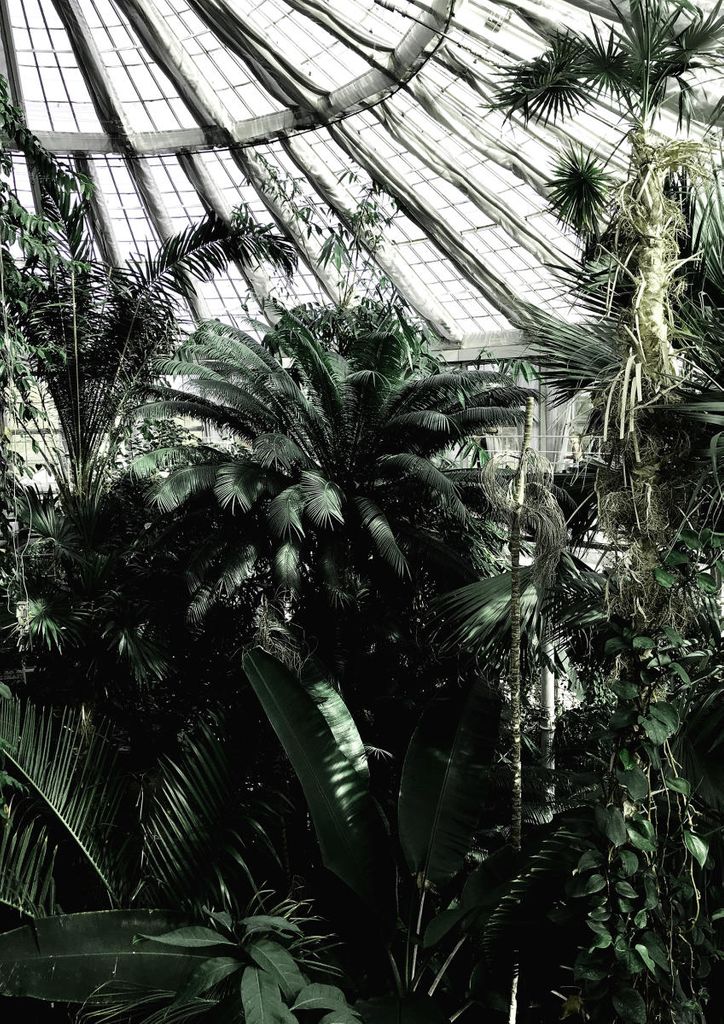 Poster - Copenhagen Greenhouse 21x30 - Dear Sam