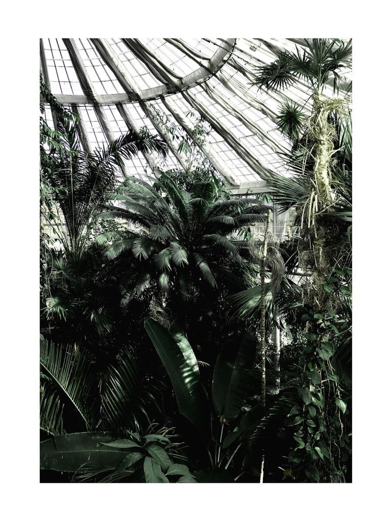 Poster - Copenhagen Greenhouse 30x40 - Dear Sam