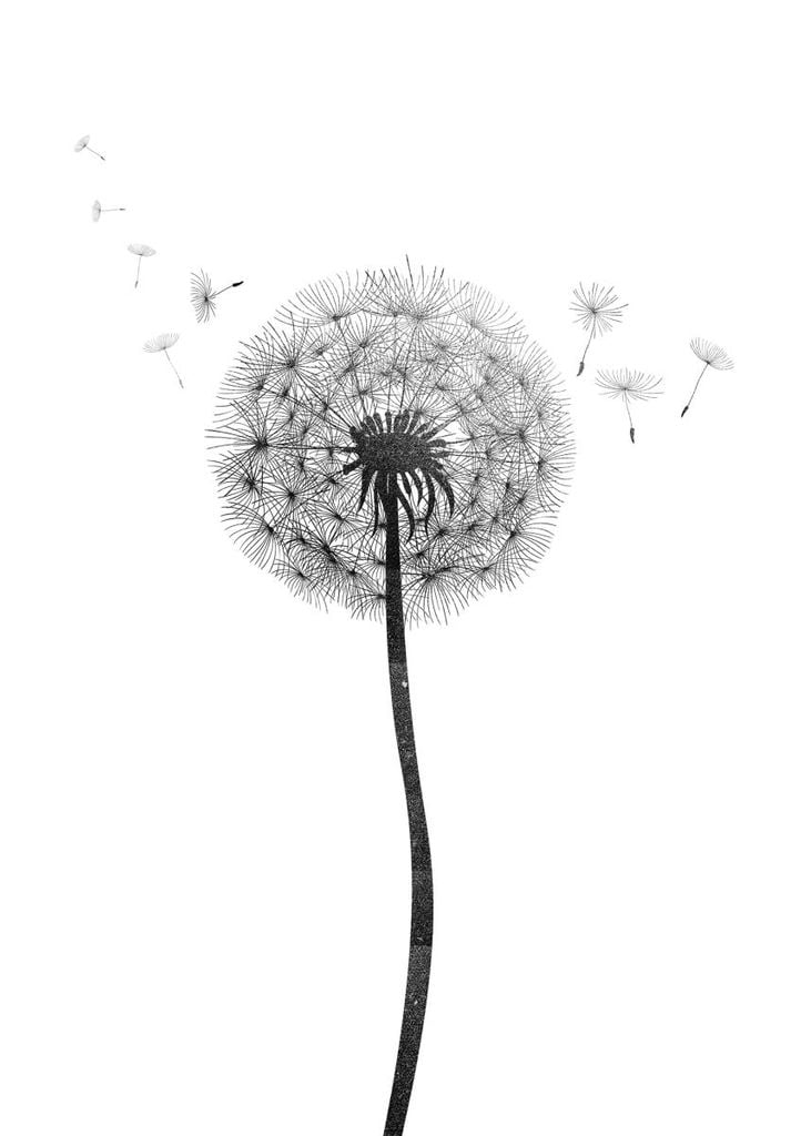 Poster - Dandelion 50x70 - Dear Sam