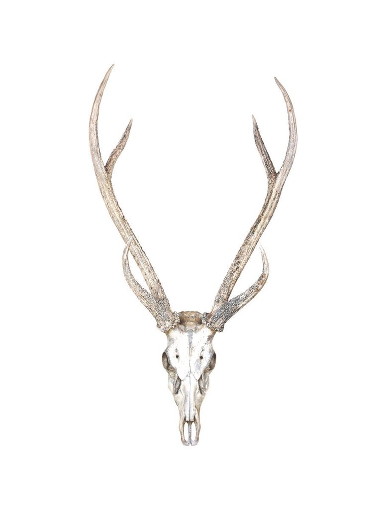 Poster - Deer Antlers 30x40 - Dear Sam