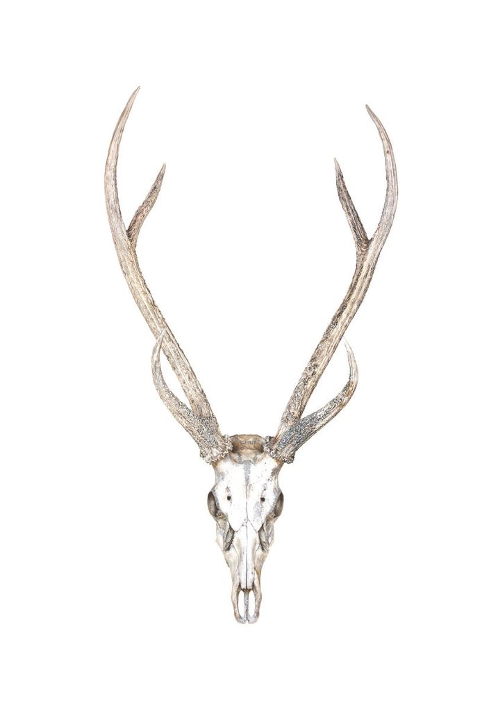 Poster - Deer Antlers 70x100 - Dear Sam