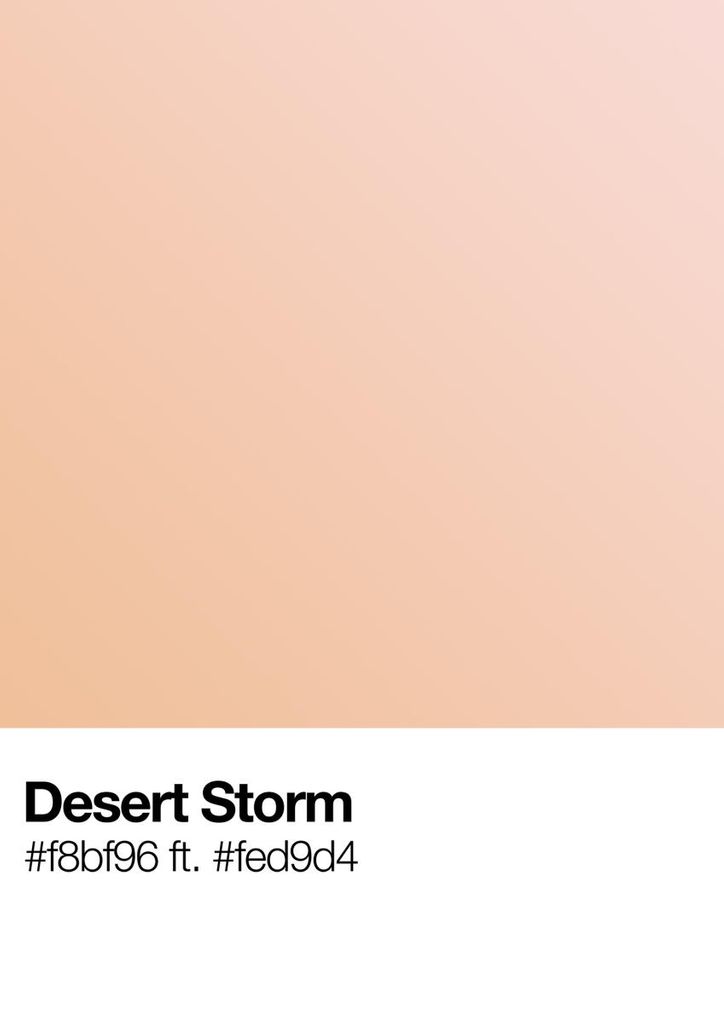 Poster - Desert Storm 21x30 - Dear Sam