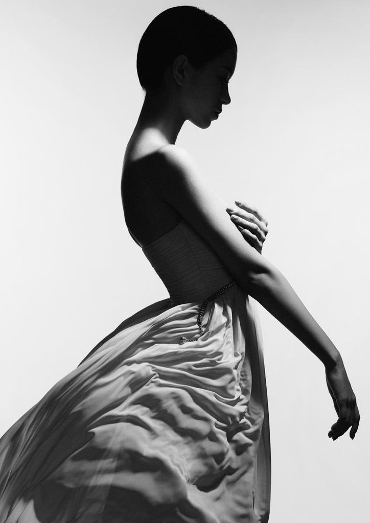 Poster - Dress Profile 21x30 - Dear Sam